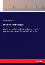 bow in the cloud