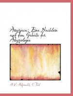 Assyriaca; Eine Nachlese Auf Dem Gebiete Der Assyriologie (Lassyriaca; Eine Nachlese Auf Dem Gebiete Der Assyriologie Arge Print Edition)