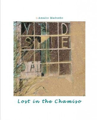 Lost In The Chamiso