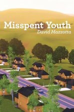 Misspent Youth