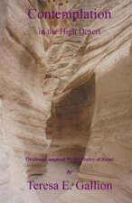 Contemplation in the High Desert: Quatrains inspired by the Poetry of Rumi