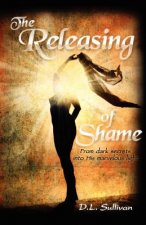 The Releasing of Shame: From dark secrets into His marvelous light