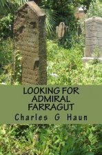 Looking for Admiral Farragut