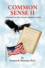Common Sense II: A Remedy For The Current American Crisis