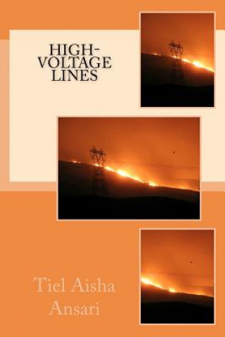 High Voltage Lines
