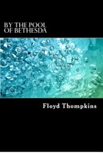 By the Pool of Bethesda: Biblical Meditations on Long-term Illness and Terminal Diagnoses