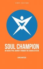 Soul Champion: An Archetypal Journey through the Chakra System