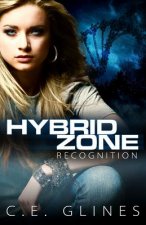 Hybrid Zone Recognition