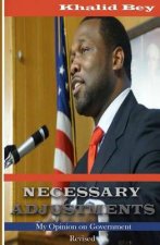 Necessary Adjustments: My Opinion on Government