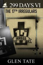 299 Days: The 17th Irregulars