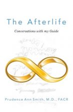 The Afterlife: Conversations with my Guide