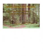 Teaching Grammar with Literature: Subject and Verb agreement with Hansel and Gretel
