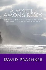 A Myrtle Among Reeds: A Guide to the History and Nature of Jewish Prayer