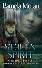 Stolen Spirit (PSI Sentinels: Book One - Guardians of the Psychic Realm)