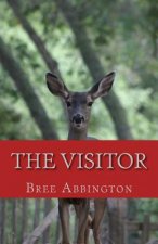 The Visitor: Gifts in Strange Wrappings