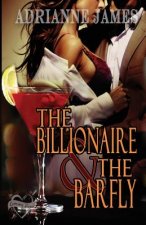 The Billionaire & The Barfly