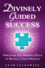 Divinely Guided Success: Discover the Missing Piece to Reveal Your Destiny
