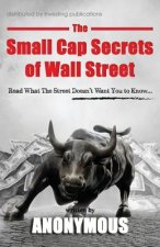 The Small Cap Secrets of Wall Street