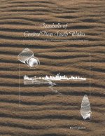 Seashells of Central New South Wales: A Survey of the Shelled Marine Molluscs of the Sydney Metropolitan Area and Adjacent Coasts