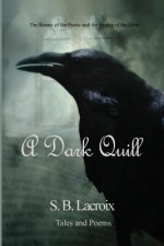 A Dark Quill: Tales & Poems