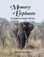 A Memory of Elephants: On Safari in South Africa