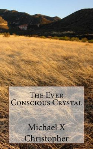 The Ever Conscious Crystal