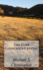 The Ever Conscious Crystal