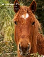 Wild and Free: Horses of the Outer Banks