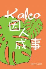 Kaleo Yinrenchengshi: Traditional Character Version