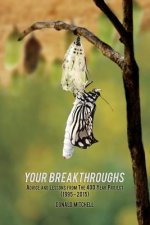 Your Breakthroughs: Advice and Lessons from The 400 Year Project (1995-2015)