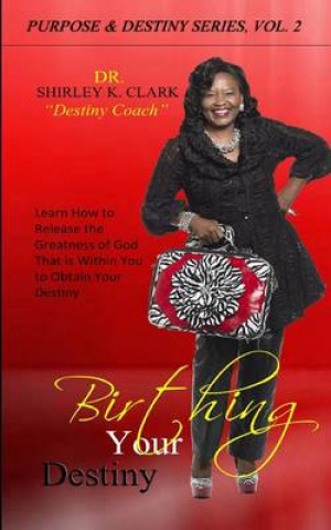 Birthing Your Destiny: Learn How to Release the Greatness of God Within You to Obtain Your Destiny