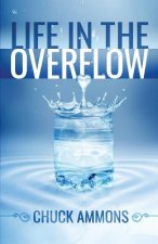 Life in the Overflow