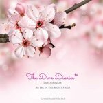 The Diva Diaries(TM) Devotionals: Ruth In The Right Field