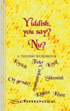 Yiddish, you say? Nu?: A Yiddish Wordbook