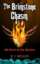 The Brimstone Chasm: Book Three of the Tyler May series