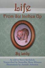 Life From Six Inches Up