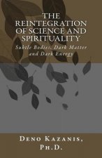 The Reintegration of Science and Spirituality: Subtle Bodies, Dark Matter and Dark Energy