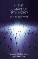 In the Domain of Mediumship: Life in the Spirit World