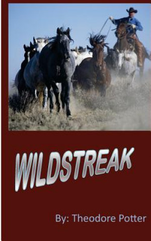 WildStreak
