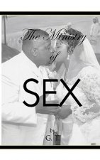 The Ministry Of Sex By GT