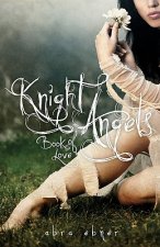 Knight Angels: Book One: Book of Love