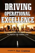 Driving Operational Excellence: Successful Lean Six Sigma Secrets to Improve the Bottom Line