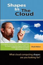 Shapes In The Cloud: What Cloud Computing shapes are you looking for?