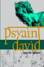 Psyaint David: A Short But Reliable Narrative of Six months of Fun and Mayhem in the City of the Gods