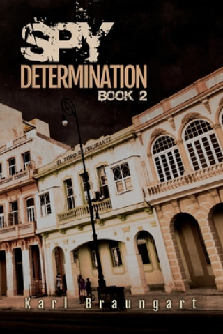 Spy Determination Book 2: The Remmich/Miller Series Revised 2019