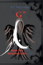 Infinite G: Book Two of the Seraphim Calls series