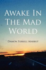 Awake In The Mad World