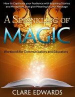 A Sprinkling of Magic: How to Captivate your Audience through Stories and Metaphors that give Meaning to your Message