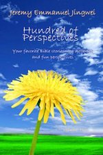 Hundreds of Perspectives: Your favorite Bible stories in a different and fun perspective