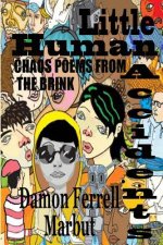 Little Human Accidents: Chaos Poems from the Brink